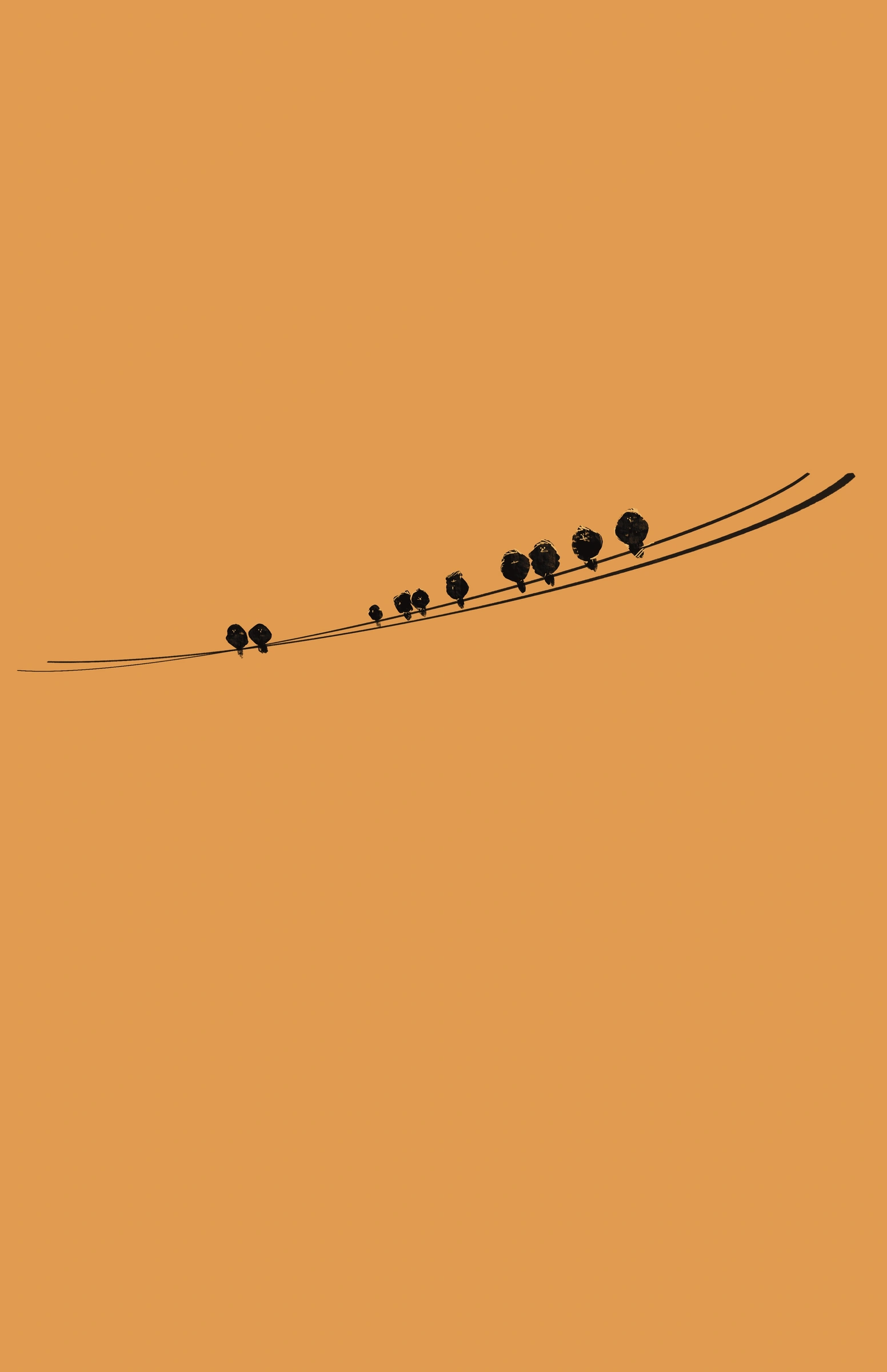 Birds on a Wire — Digital Painting by Gary Keeler